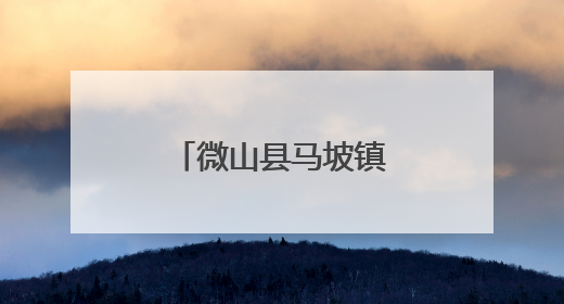 微山县马坡镇开展托育服务集中宣传活动