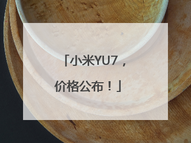小米YU7，价格公布！