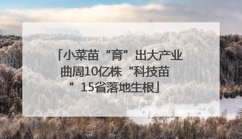 小菜苗“育”出大产业 曲周10亿株“科技苗”15省落地生根