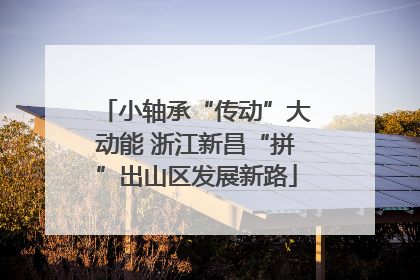 小轴承“传动”大动能 浙江新昌“拼”出山区发展新路