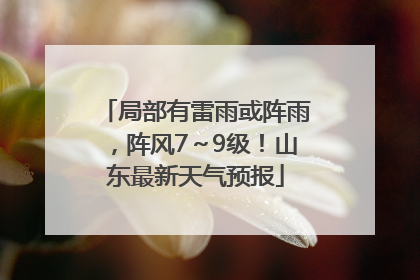 局部有雷雨或阵雨，阵风7～9级！山东最新天气预报