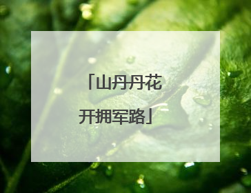 山丹丹花开拥军路