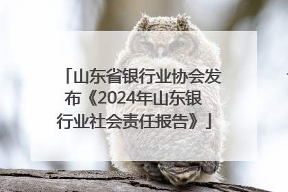 山东省银行业协会发布《2024年山东银行业社会责任报告》