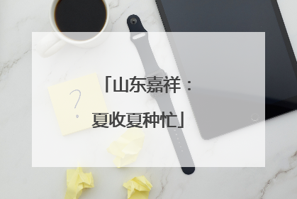 山东嘉祥：夏收夏种忙