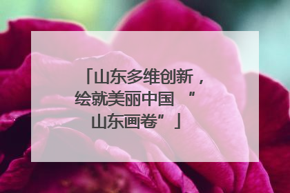 山东多维创新，绘就美丽中国 “山东画卷”
