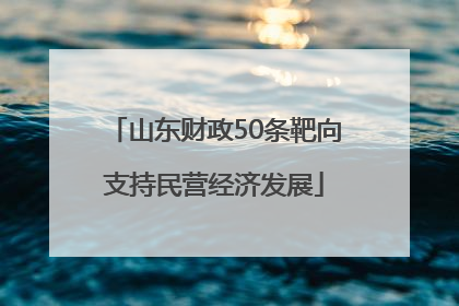山东财政50条靶向支持民营经济发展