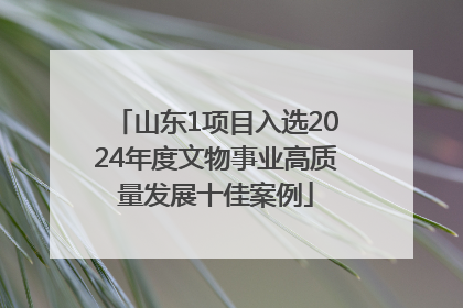 山东1项目入选2024年度文物事业高质量发展十佳案例