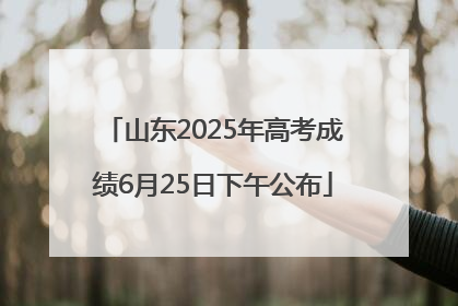 山东2025年高考成绩6月25日下午公布