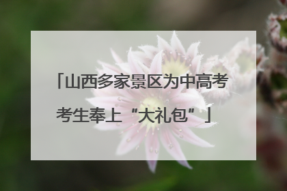 山西多家景区为中高考考生奉上“大礼包”