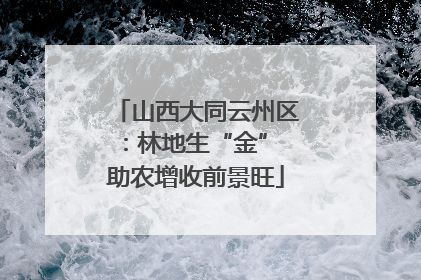 山西大同云州区：林地生“金” 助农增收前景旺