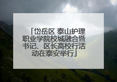 岱岳区 泰山护理职业学院校城融合暨书记、区长高校行活动在泰安举行