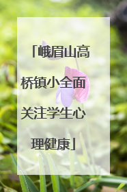 峨眉山高桥镇小全面关注学生心理健康