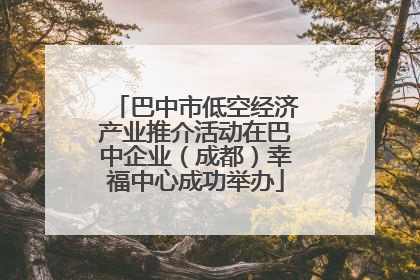 巴中市低空经济产业推介活动在巴中企业（成都）幸福中心成功举办