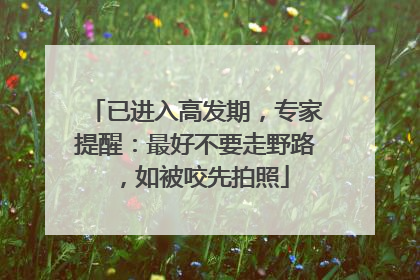 已进入高发期，专家提醒：最好不要走野路，如被咬先拍照