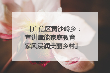 广信区黄沙岭乡：宣讲赋能家庭教育 家风浸润美丽乡村
