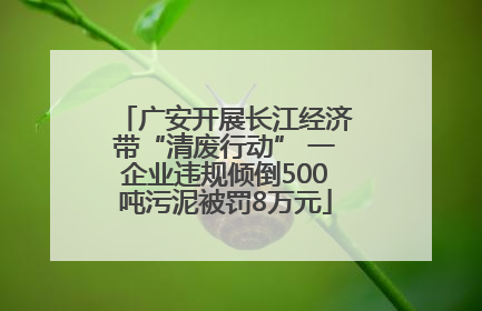 广安开展长江经济带“清废行动” 一企业违规倾倒500吨污泥被罚8万元