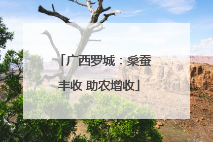 广西罗城：桑蚕丰收 助农增收