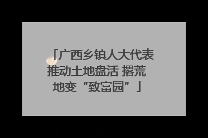 广西乡镇人大代表推动土地盘活 撂荒地变“致富园”