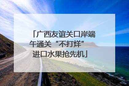 广西友谊关口岸端午通关“不打烊” 进口水果抢先机