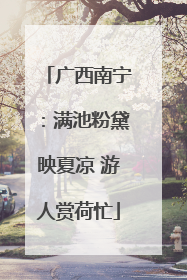 广西南宁：满池粉黛映夏凉 游人赏荷忙