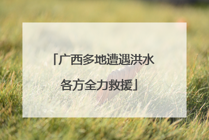 广西多地遭遇洪水 各方全力救援