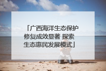 广西海洋生态保护修复成效显著 探索生态惠民发展模式