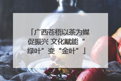 广西苍梧以茶为媒促振兴 文化赋能“绿叶”变“金叶”
