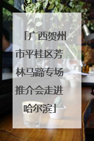 广西贺州市平桂区芳林马蹄专场推介会走进哈尔滨