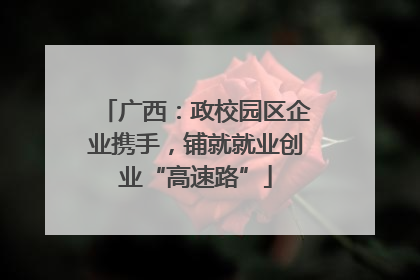 广西：政校园区企业携手，铺就就业创业“高速路”