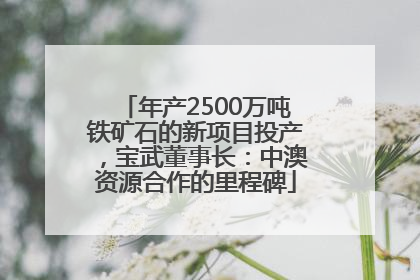 年产2500万吨铁矿石的新项目投产，宝武董事长：中澳资源合作的里程碑