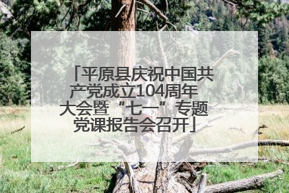 平原县庆祝中国共产党成立104周年大会暨“七一”专题党课报告会召开
