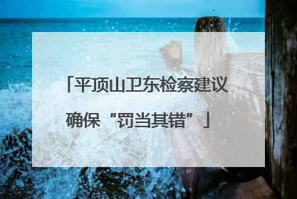 平顶山卫东检察建议确保“罚当其错”