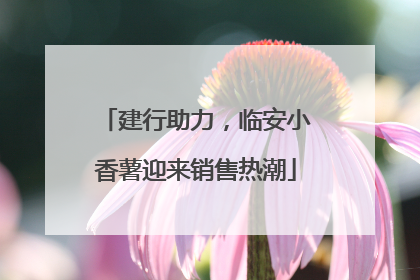 建行助力，临安小香薯迎来销售热潮