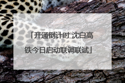开通倒计时 沈白高铁今日启动联调联试
