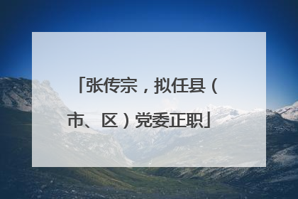 张传宗，拟任县（市、区）党委正职