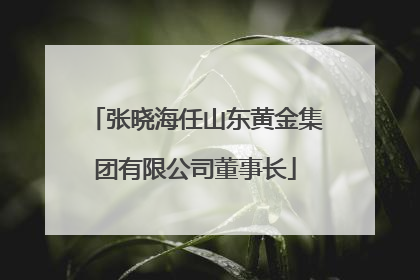 张晓海任山东黄金集团有限公司董事长