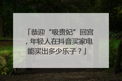 恭迎“吸贵妃”回宫，年轻人在抖音买家电能买出多少乐子？