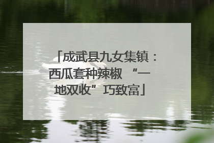 成武县九女集镇：西瓜套种辣椒 “一地双收”巧致富