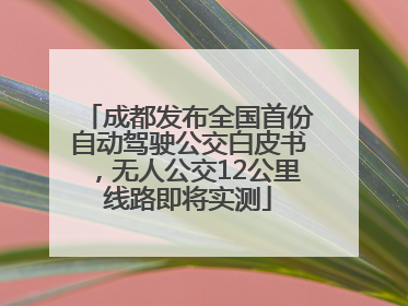 成都发布全国首份自动驾驶公交白皮书，无人公交12公里线路即将实测