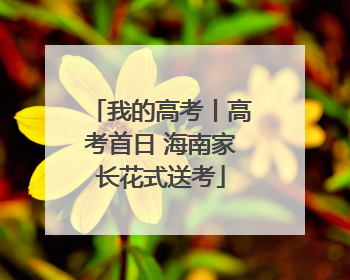 我的高考丨高考首日 海南家长花式送考