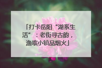 打卡岳阳“湖系生活”：老街寻古韵，渔歌小镇品烟火