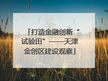 打造金融创新“试验田”——天津金创区建设观察