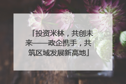 投资米林，共创未来——政企携手，共筑区域发展新高地