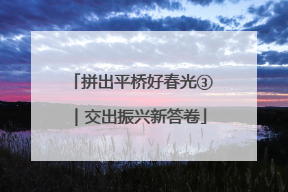 拼出平桥好春光③｜交出振兴新答卷
