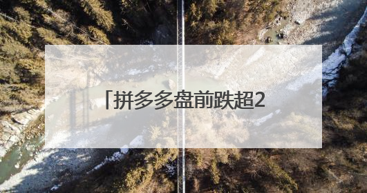拼多多盘前跌超20%，第一季度净利润下降45%