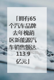 拥有65个汽车品牌 去年槐荫区新能源汽车销售额达113.9亿元