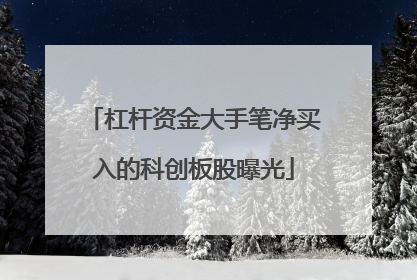 杠杆资金大手笔净买入的科创板股曝光
