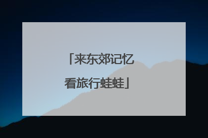 来东郊记忆 看旅行蛙蛙