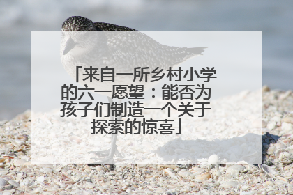 来自一所乡村小学的六一愿望：能否为孩子们制造一个关于探索的惊喜