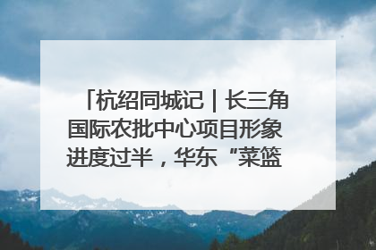 杭绍同城记｜长三角国际农批中心项目形象进度过半，华东“菜篮子”建设加码提速！